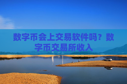 数字币会上交易软件吗？数字币交易所收入