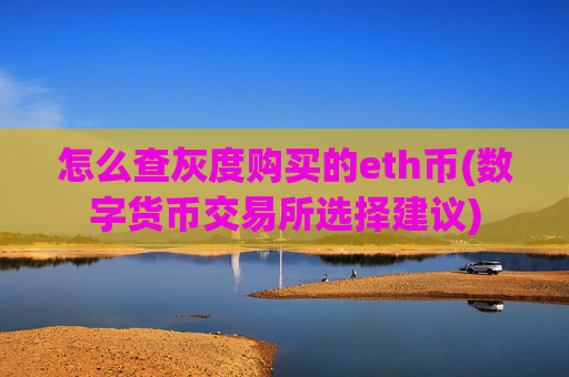 怎么查灰度购买的eth币(数字货币交易所选择建议)