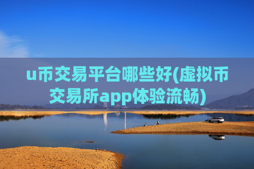 u币交易平台哪些好(虚拟币交易所app体验流畅)