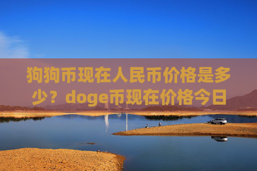 狗狗币现在人民币价格是多少？doge币现在价格今日行情(现价3.2206元)