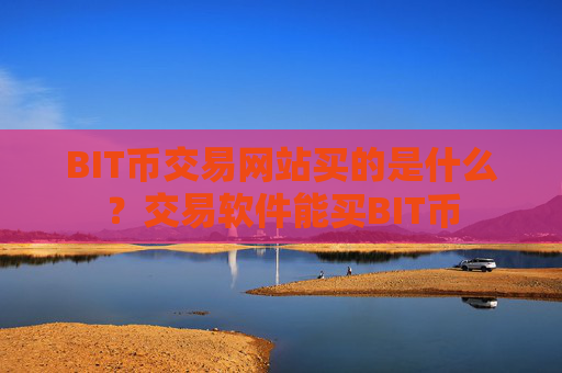 BIT币交易网站买的是什么？交易软件能买BIT币