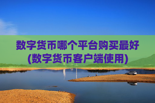 数字货币哪个平台购买最好(数字货币客户端使用)