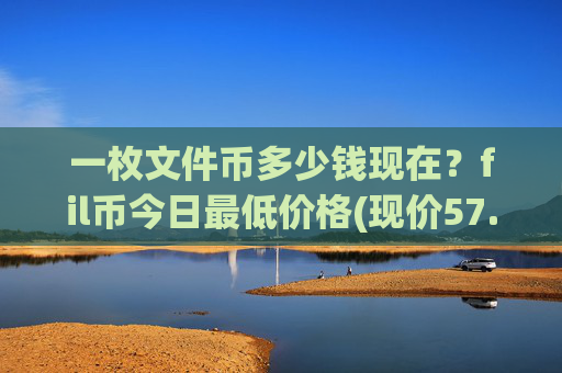 一枚文件币多少钱现在？fil币今日最低价格(现价57.4598元)