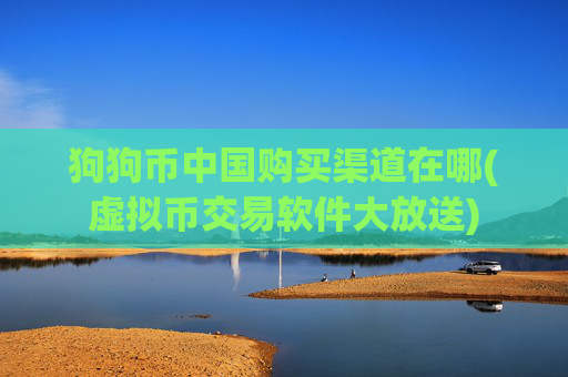 狗狗币中国购买渠道在哪(虚拟币交易软件大放送)