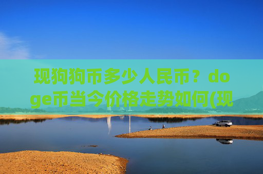 现狗狗币多少人民币？doge币当今价格走势如何(现价3.2082元)