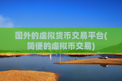 国外的虚拟货币交易平台(简便的虚拟币交易)