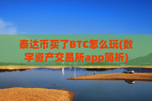 泰达币买了BTC怎么玩(数字资产交易所app简析)