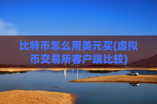 比特币怎么用美元买(虚拟币交易所客户端比较)