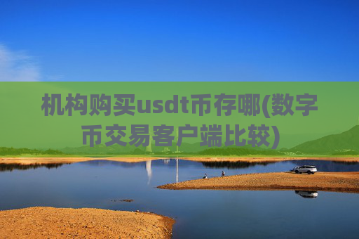 机构购买usdt币存哪(数字币交易客户端比较)