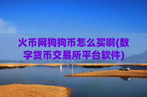 火币网狗狗币怎么买啊(数字货币交易所平台软件)