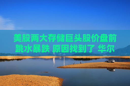 美股两大存储巨头股价盘前跳水暴跌 原因找到了 华尔街“胃口”太苛刻