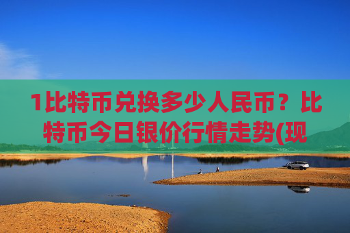 1比特币兑换多少人民币？比特币今日银价行情走势(现价746178.7元)