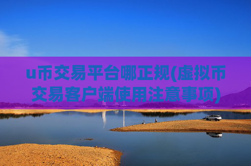 u币交易平台哪正规(虚拟币交易客户端使用注意事项)