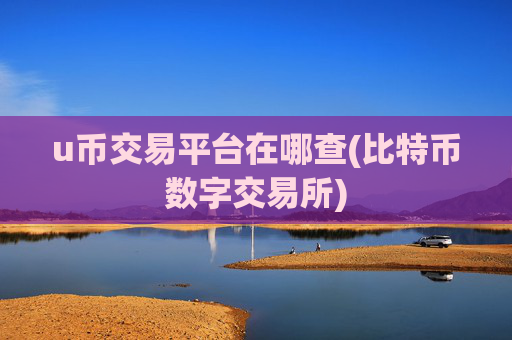 u币交易平台在哪查(比特币数字交易所)