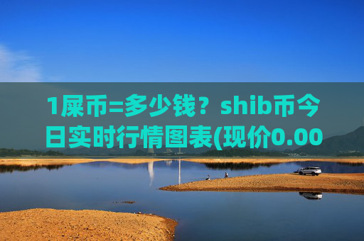 1屎币=多少钱？shib币今日实时行情图表(现价0.00022887元)