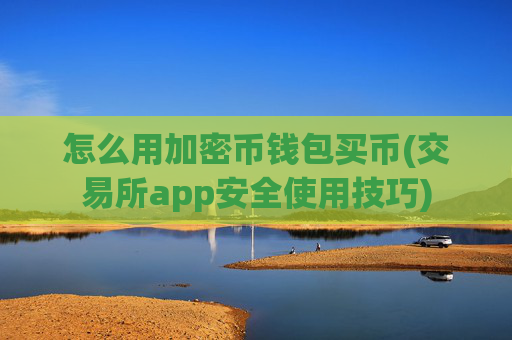 怎么用加密币钱包买币(交易所app安全使用技巧)