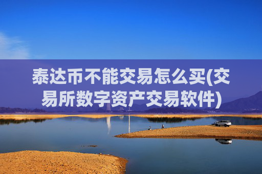 泰达币不能交易怎么买(交易所数字资产交易软件)