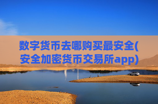 数字货币去哪购买最安全(安全加密货币交易所app)