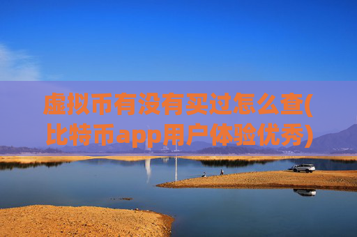 虚拟币有没有买过怎么查(比特币app用户体验优秀)
