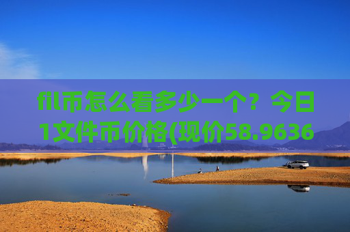 fil币怎么看多少一个？今日1文件币价格(现价58.9636元)