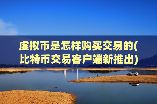 虚拟币是怎样购买交易的(比特币交易客户端新推出)