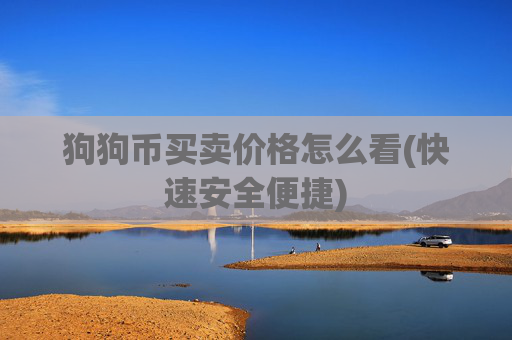 狗狗币买卖价格怎么看(快速安全便捷)