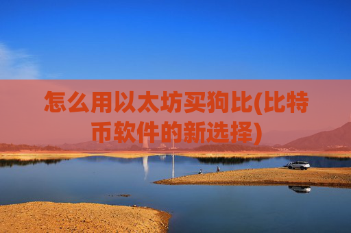 怎么用以太坊买狗比(比特币软件的新选择)