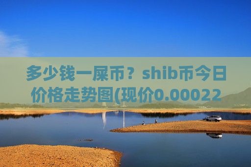 多少钱一屎币？shib币今日价格走势图(现价0.00022938元)