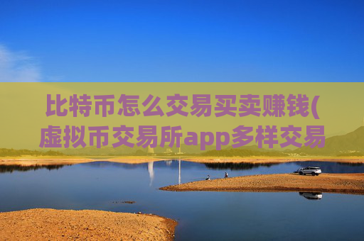 比特币怎么交易买卖赚钱(虚拟币交易所app多样交易选择)