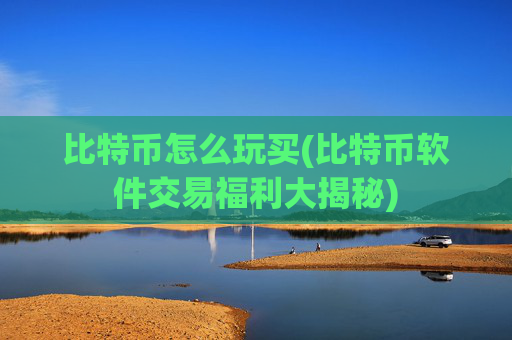 比特币怎么玩买(比特币软件交易福利大揭秘)