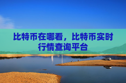 比特币在哪看，比特币实时行情查询平台