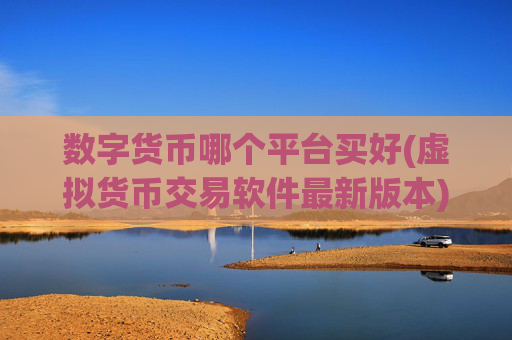 数字货币哪个平台买好(虚拟货币交易软件最新版本)