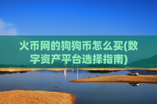 火币网的狗狗币怎么买(数字资产平台选择指南)
