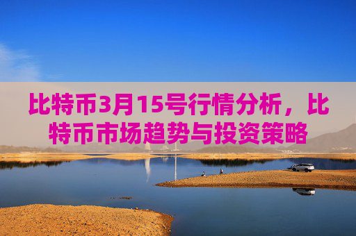 比特币3月15号行情分析，比特币市场趋势与投资策略