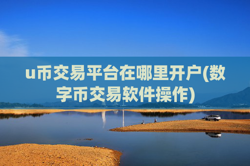 u币交易平台在哪里开户(数字币交易软件操作)