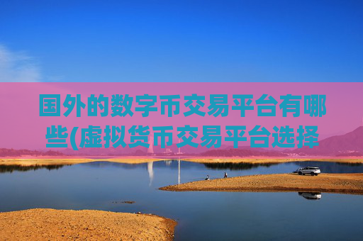国外的数字币交易平台有哪些(虚拟货币交易平台选择建议)