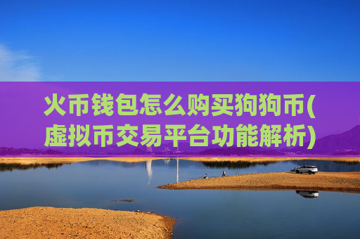 火币钱包怎么购买狗狗币(虚拟币交易平台功能解析)