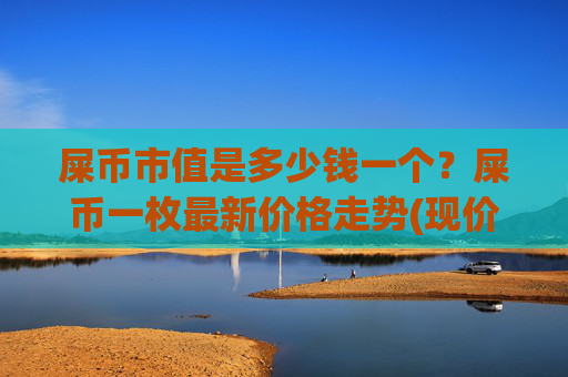 屎币市值是多少钱一个？屎币一枚最新价格走势(现价0.00022648元)