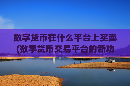 数字货币在什么平台上买卖(数字货币交易平台的新功能推出)