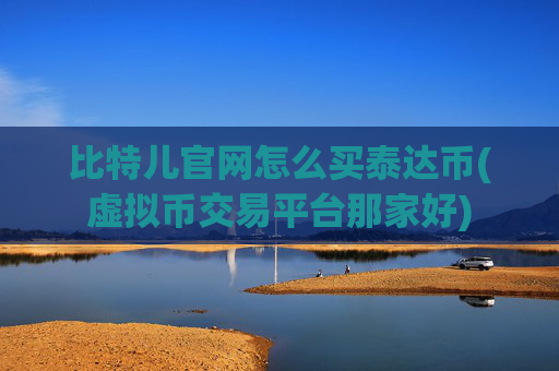 比特儿官网怎么买泰达币(虚拟币交易平台那家好)