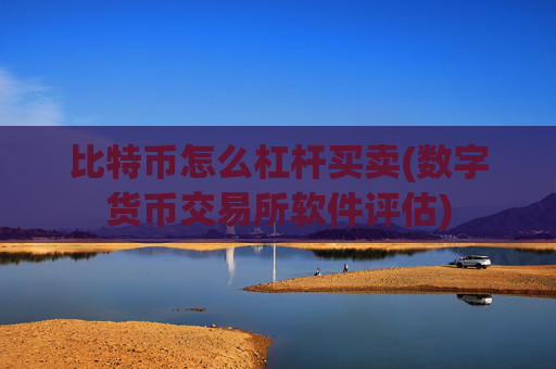 比特币怎么杠杆买卖(数字货币交易所软件评估)
