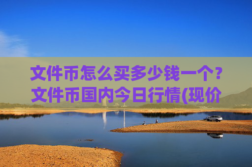 文件币怎么买多少钱一个？文件币国内今日行情(现价58.1651元)