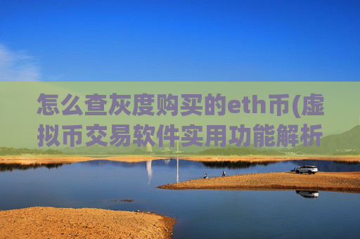 怎么查灰度购买的eth币(虚拟币交易软件实用功能解析)