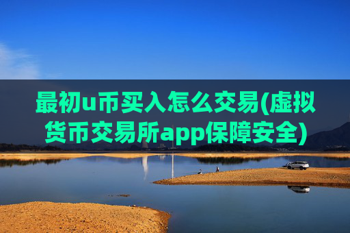 最初u币买入怎么交易(虚拟货币交易所app保障安全)
