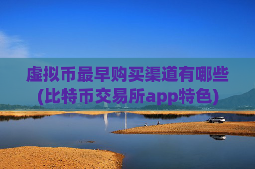 虚拟币最早购买渠道有哪些(比特币交易所app特色)