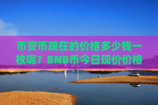 币安币现在的价格多少钱一枚呢？BNB币今日现价价格(现价5322.84元)
