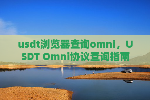 usdt浏览器查询omni，USDT Omni协议查询指南