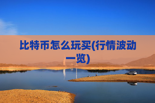 比特币怎么玩买(行情波动一览)