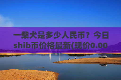 一柴犬是多少人民币?今日shib币价格最新(现价0.00022925元)