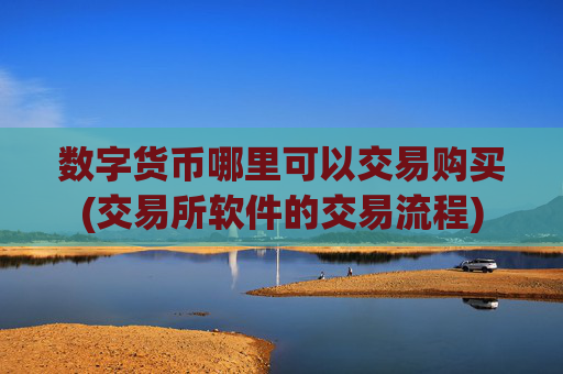 数字货币哪里可以交易购买(交易所软件的交易流程)